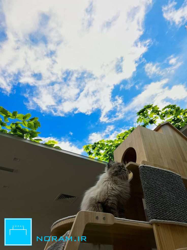 سقف کشسان آسمان مجازی طرح آسمان