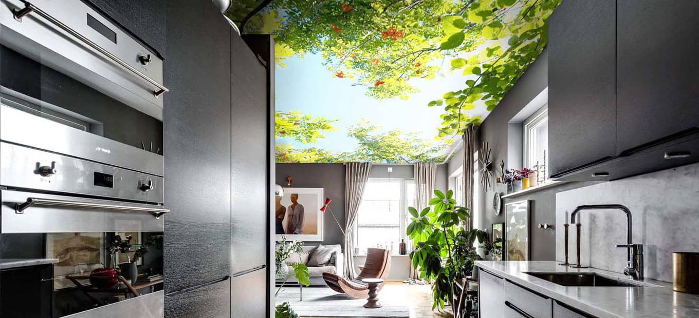 سقف کشسان چاپی