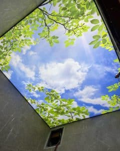 سقف کشسان پرینتی سرویس بهداشتی