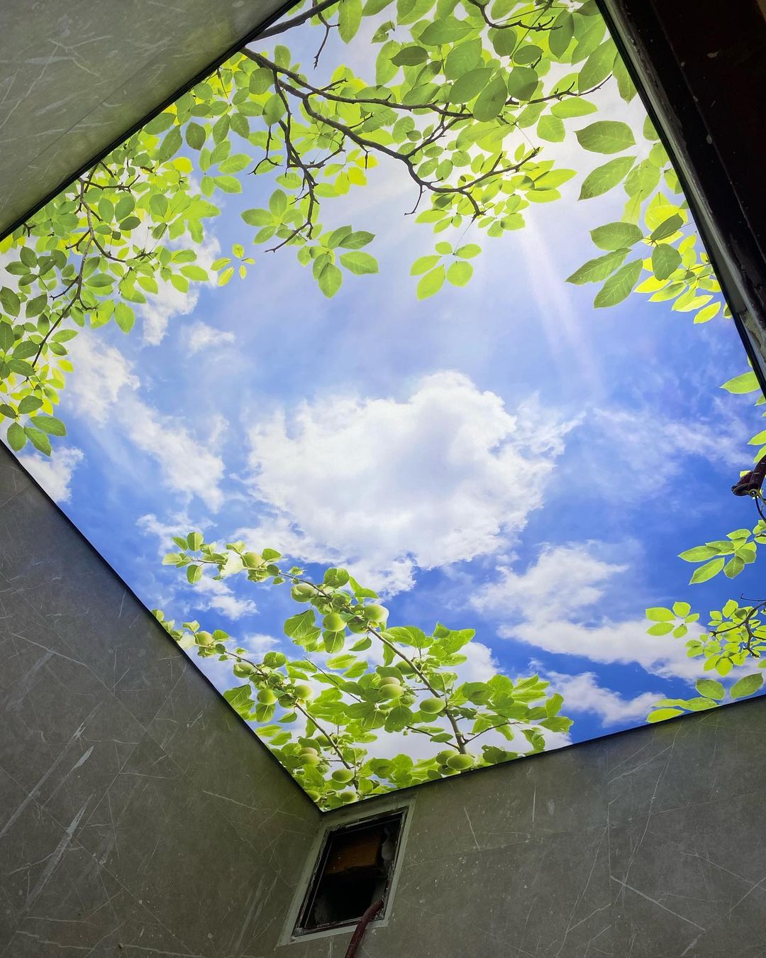 سقف کشسان پرینتی سرویس بهداشتی