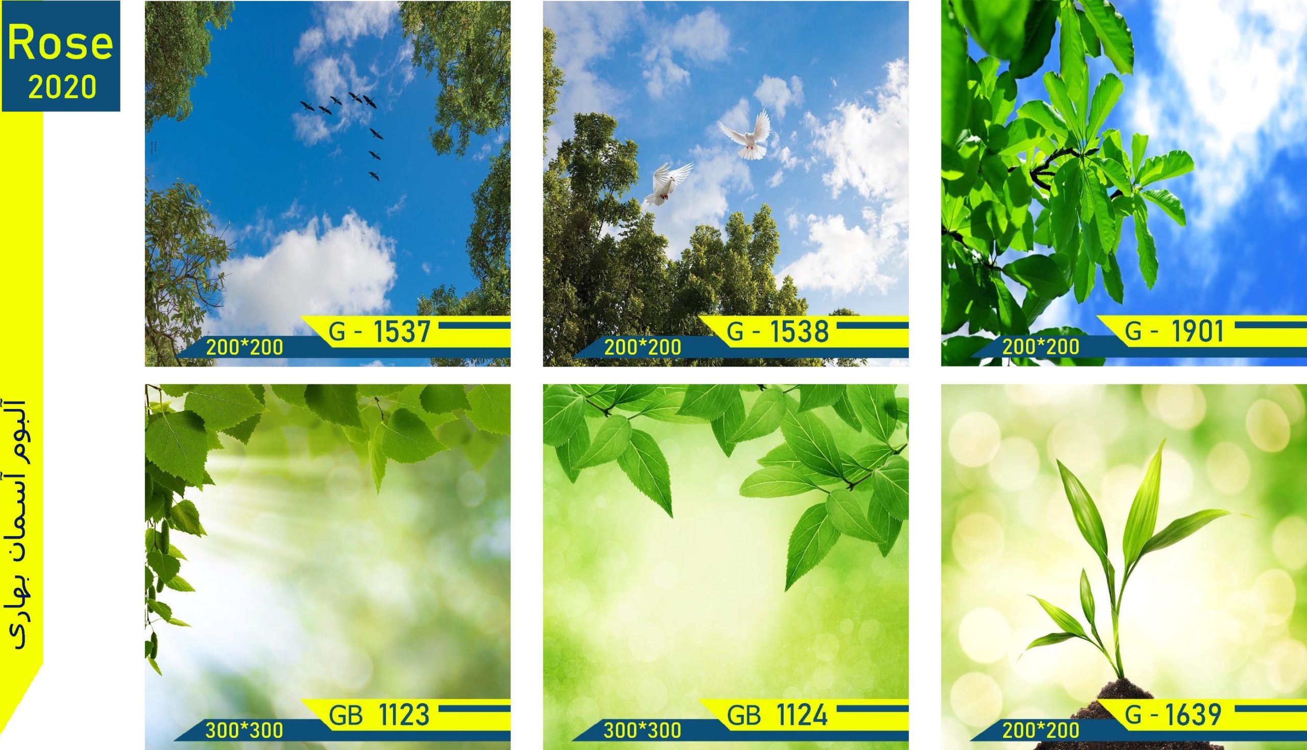 عکس سقف کشسان چاپی (10)