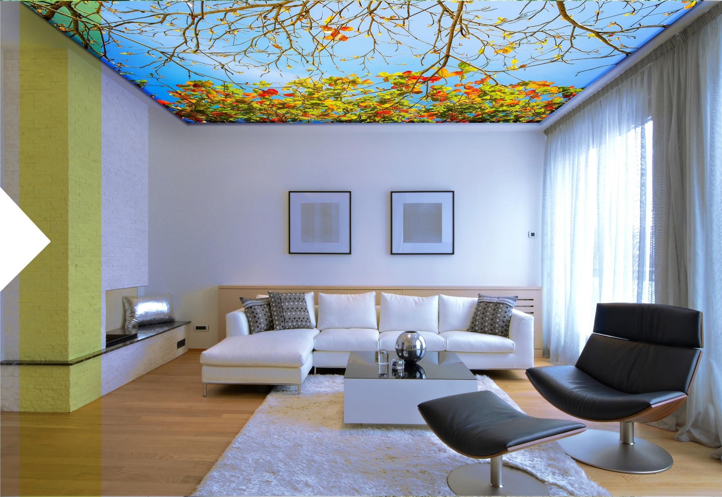 عکس سقف کشسان چاپی (2)