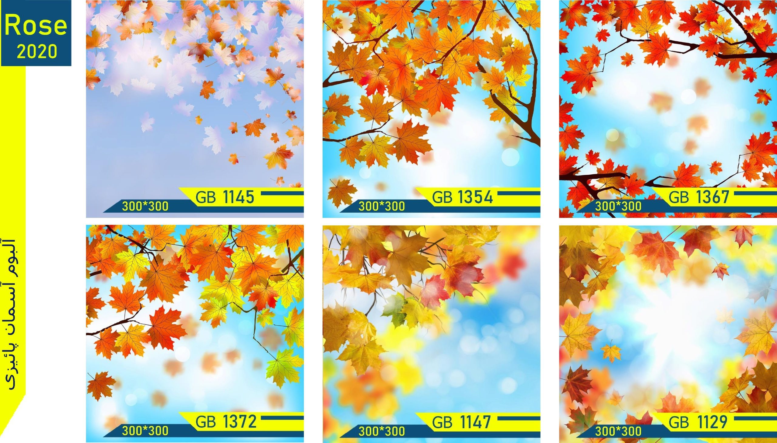 عکس سقف کشسان چاپی (5)