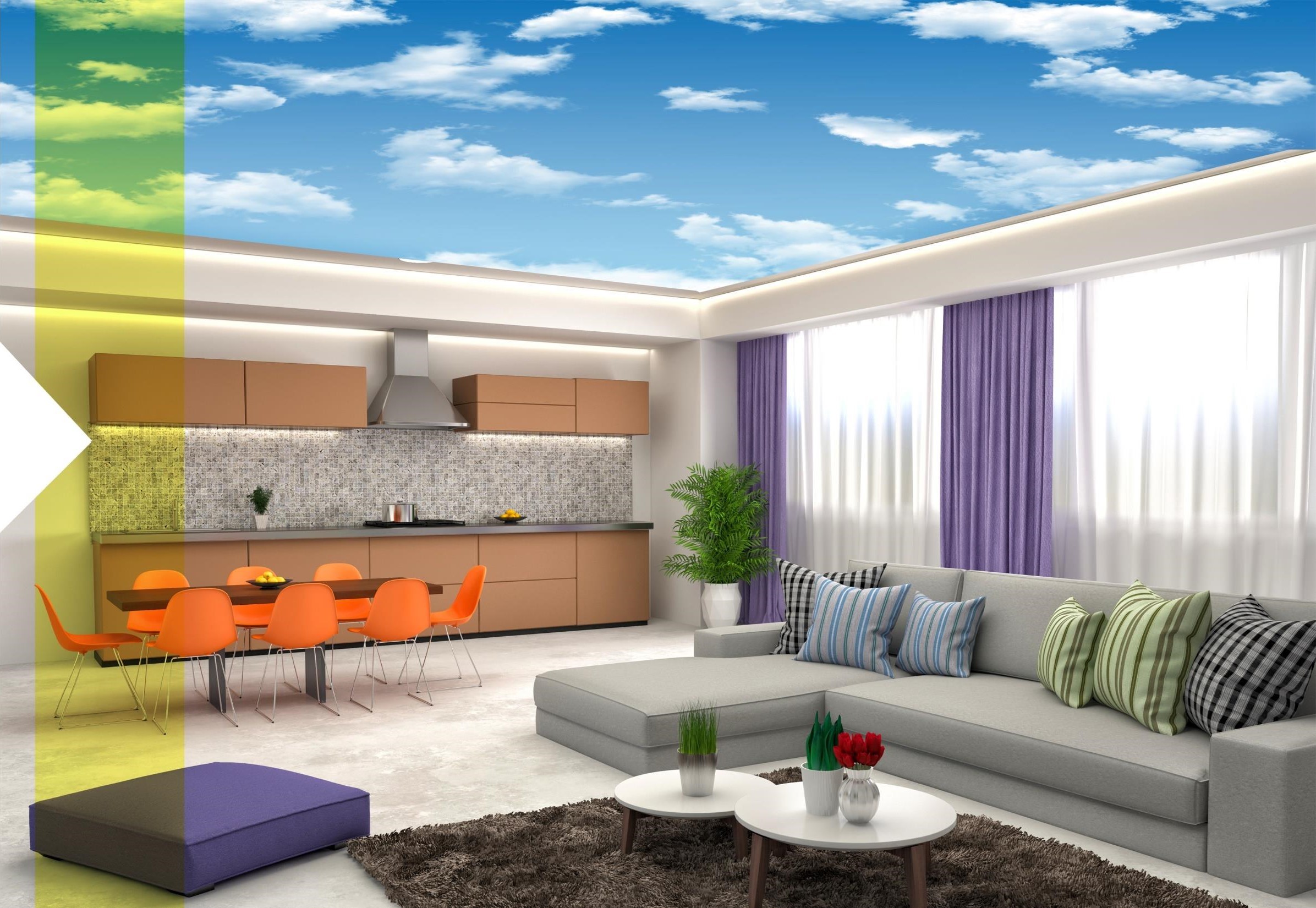 عکس سقف کشسان چاپی (7)